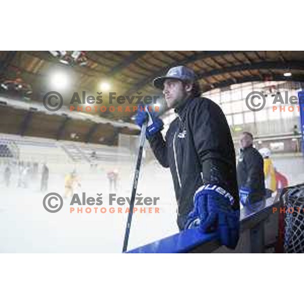 Anze Kopitar of LA Kings during his summer camp for young ice-hockey players in Bled Ice Hall, Slovenia on July 6, 2017