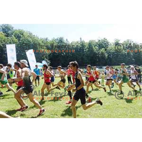 Start of European Mountain Running Championships Kamnik- Velika Planina in Eco Resort , Slovenia on July 8, 2017