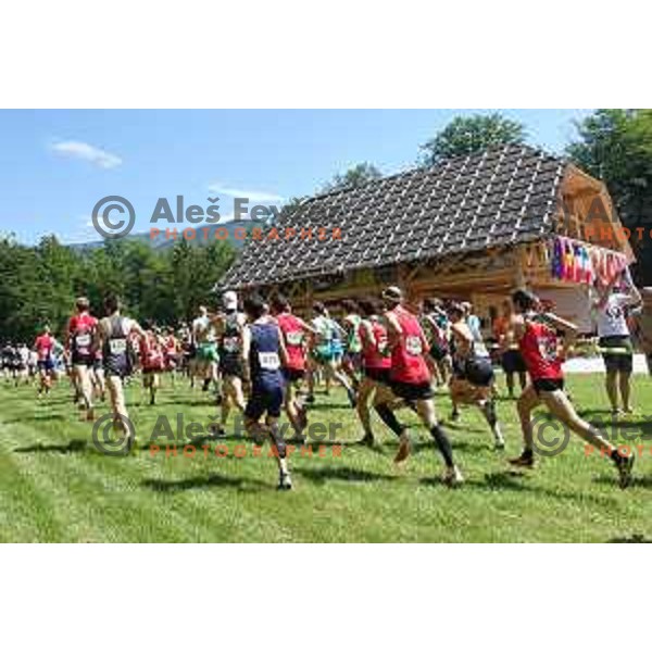 Start of European Mountain Running Championships Kamnik- Velika Planina in Eco Resort , Slovenia on July 8, 2017