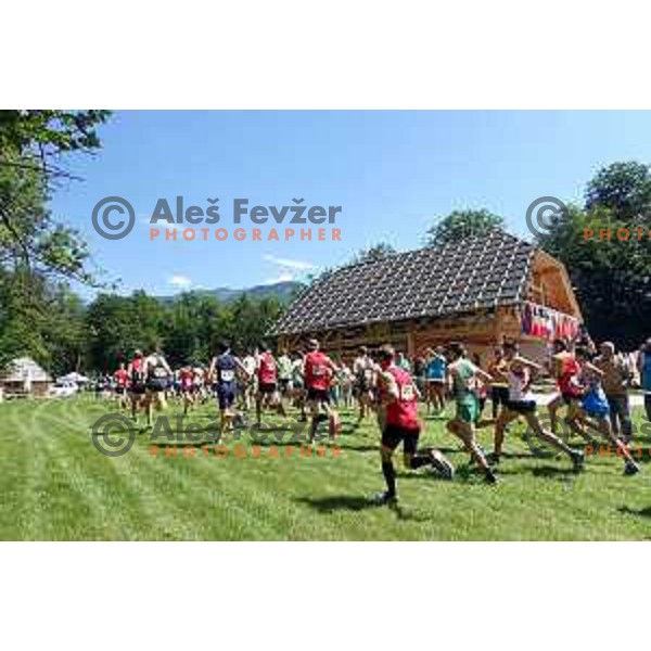 Start of European Mountain Running Championships Kamnik- Velika Planina in Eco Resort , Slovenia on July 8, 2017