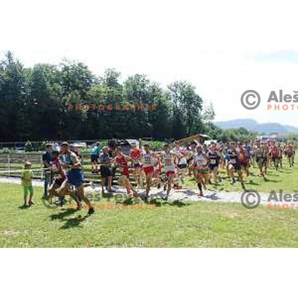Start of European Mountain Running Championships Kamnik- Velika Planina in Eco Resort , Slovenia on July 8, 2017