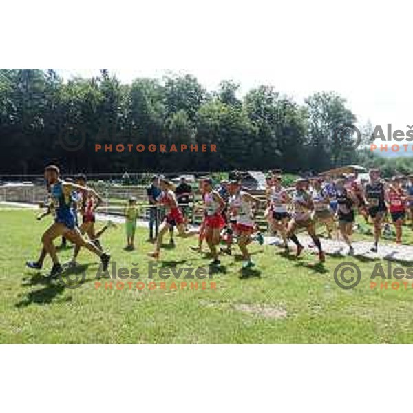 Start of European Mountain Running Championships Kamnik- Velika Planina in Eco Resort , Slovenia on July 8, 2017