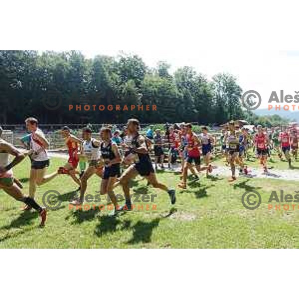Start of European Mountain Running Championships Kamnik- Velika Planina in Eco Resort , Slovenia on July 8, 2017