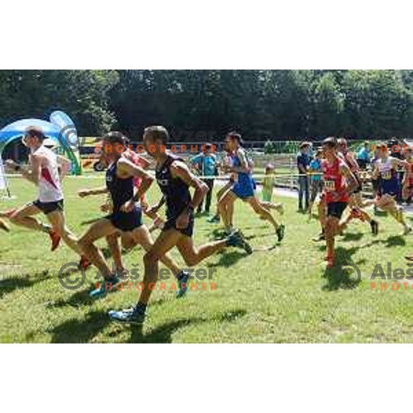 Start of European Mountain Running Championships Kamnik- Velika Planina in Eco Resort , Slovenia on July 8, 2017