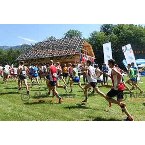 Start of European Mountain Running Championships Kamnik- Velika Planina in Eco Resort , Slovenia on July 8, 2017