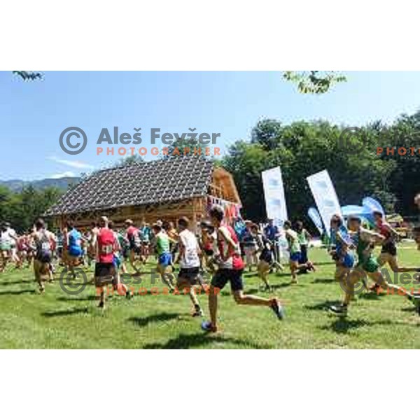 Start of European Mountain Running Championships Kamnik- Velika Planina in Eco Resort , Slovenia on July 8, 2017