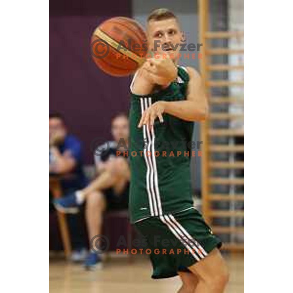 Luka Rupnik at First practice session of Slovenia Basketball team for Eurobasket 2017 in Zrece Sports Hall, Slovenia on July 19, 2017