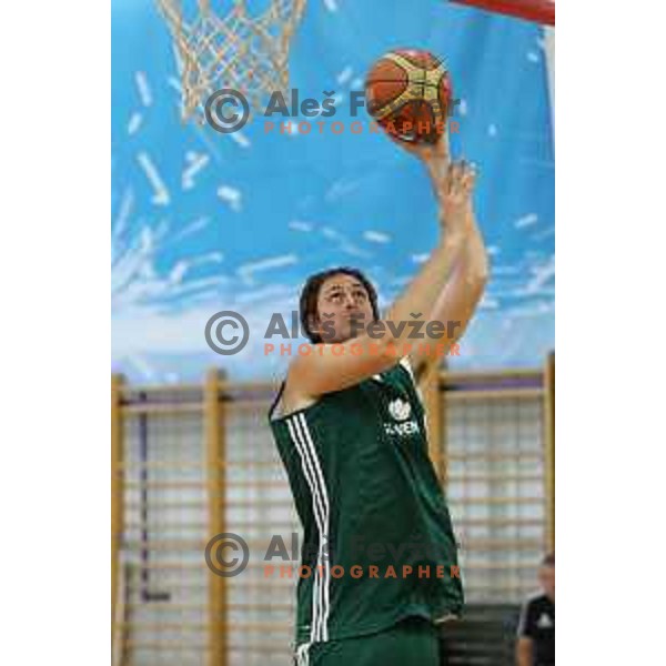 Erazem Lorbek at first practice session of Slovenia Basketball team for Eurobasket 2017 in Zrece Sports Hall, Slovenia on July 19, 2017