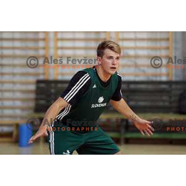 Luka Doncic of Slovenia at first practice session of Slovenia Basketball team for Eurobasket 2017 in Zrece Sports Hall, Slovenia on July 19, 2017