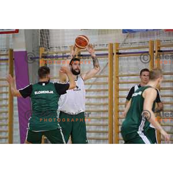 First practice session of Slovenia Basketball team for Eurobasket 2017 in Zrece Sports Hall, Slovenia on July 19, 2017