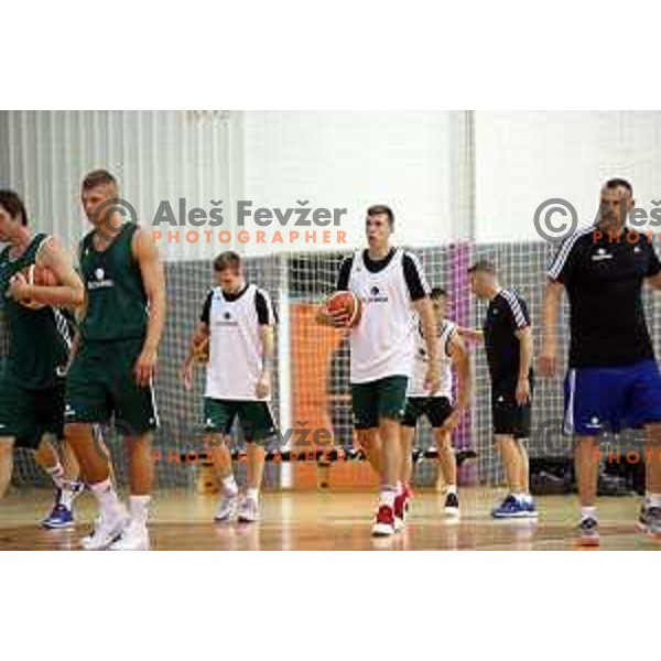 First practice session of Slovenia Basketball team for Eurobasket 2017 in Zrece Sports Hall, Slovenia on July 19, 2017