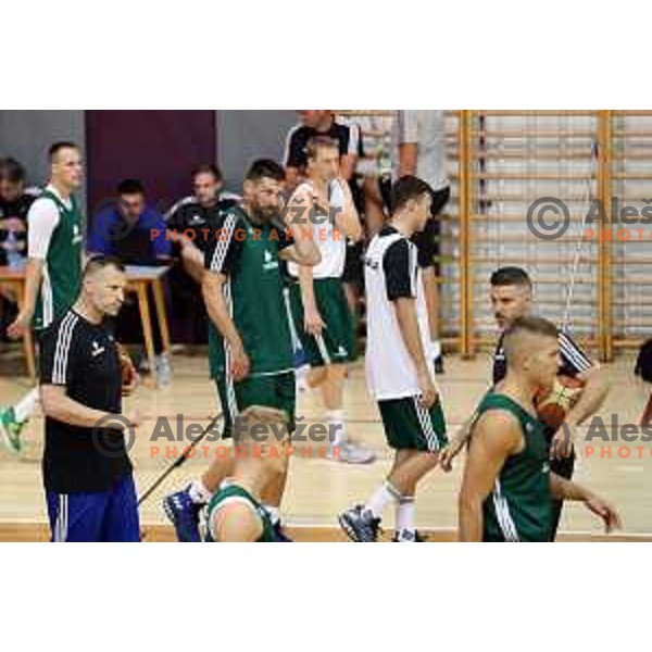 First practice session of Slovenia Basketball team for Eurobasket 2017 in Zrece Sports Hall, Slovenia on July 19, 2017