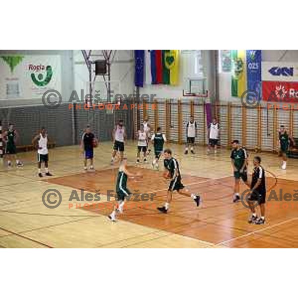 First practice session of Slovenia Basketball team for Eurobasket 2017 in Zrece Sports Hall, Slovenia on July 19, 2017