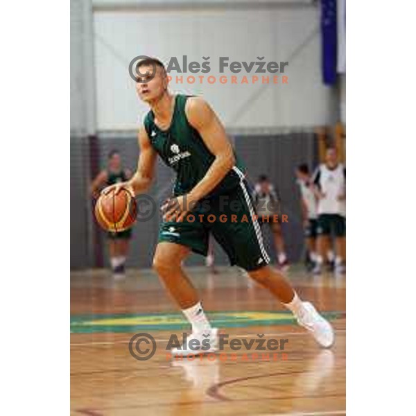 First practice session of Slovenia Basketball team for Eurobasket 2017 in Zrece Sports Hall, Slovenia on July 19, 2017