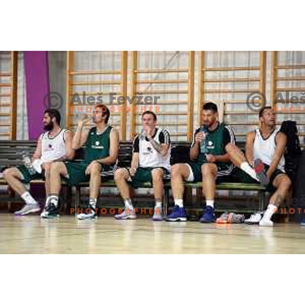 First practice session of Slovenia Basketball team for Eurobasket 2017 in Zrece Sports Hall, Slovenia on July 19, 2017