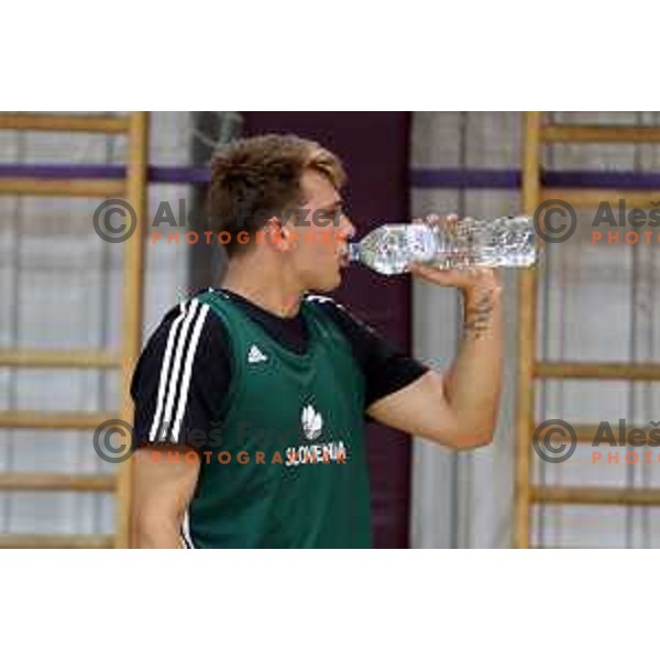 First practice session of Slovenia Basketball team for Eurobasket 2017 in Zrece Sports Hall, Slovenia on July 19, 2017