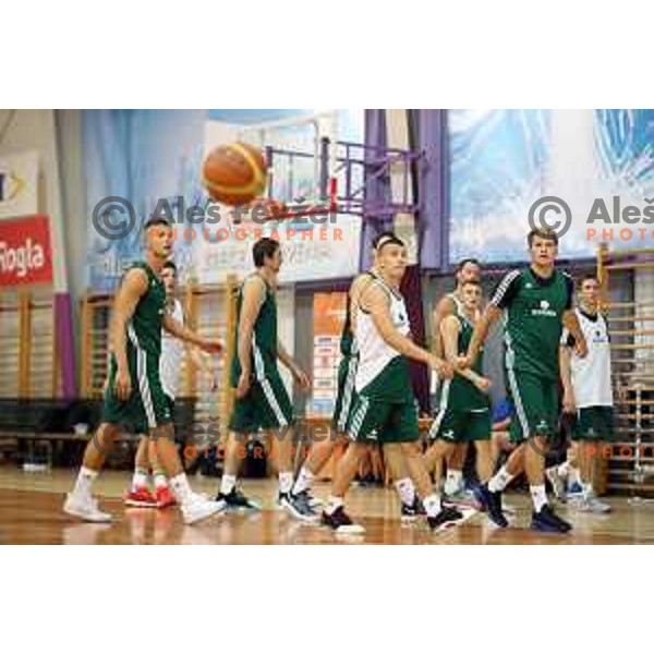 First practice session of Slovenia Basketball team for Eurobasket 2017 in Zrece Sports Hall, Slovenia on July 19, 2017