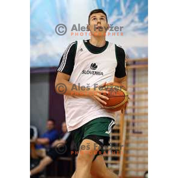 First practice session of Slovenia Basketball team for Eurobasket 2017 in Zrece Sports Hall, Slovenia on July 19, 2017