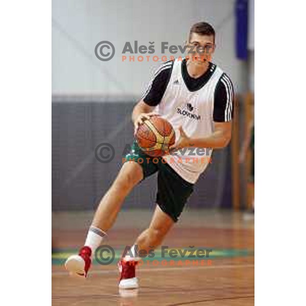 First practice session of Slovenia Basketball team for Eurobasket 2017 in Zrece Sports Hall, Slovenia on July 19, 2017