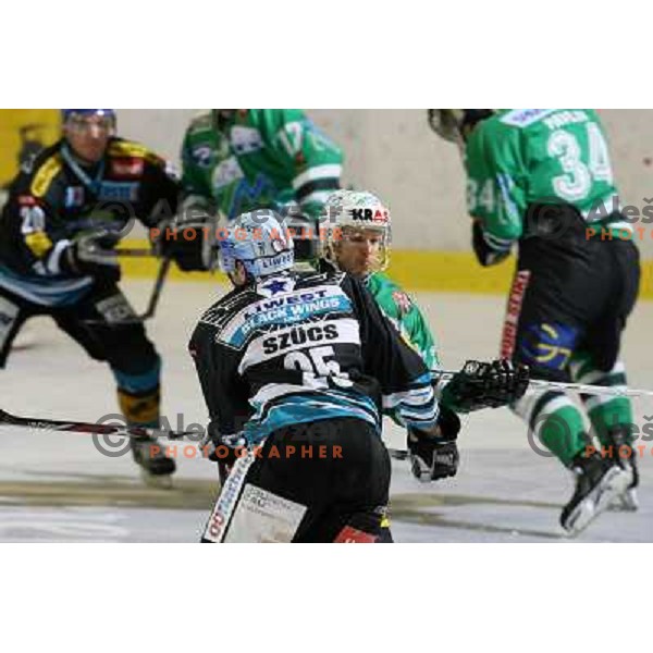 Kontrec at match ZM Olimpija- Linz in Ebel league,played in Ljubljana (Slovenia) 23.11.2007. Photo by Ales Fevzer 