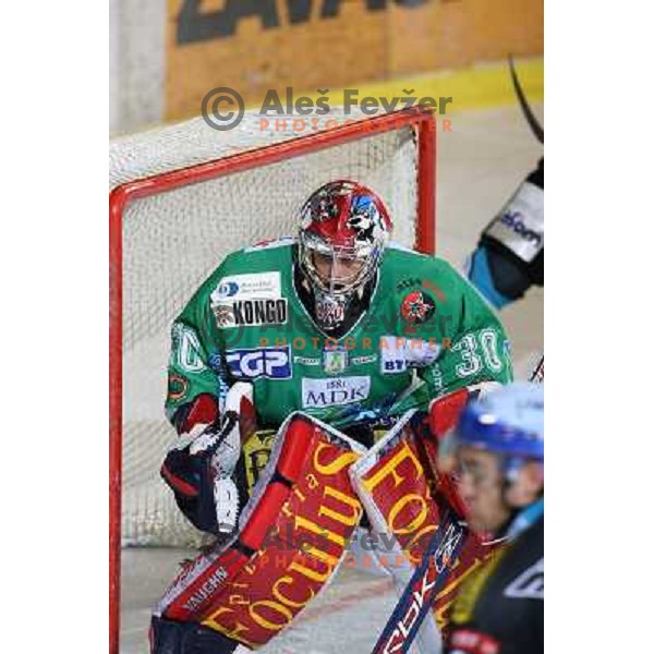 Westlund at match ZM Olimpija- EHC Liwest Linz in Ebel league,played in Ljubljana (Slovenia) 23.11.2007. Linz won the game 4:3. Photo by Ales Fevzer 