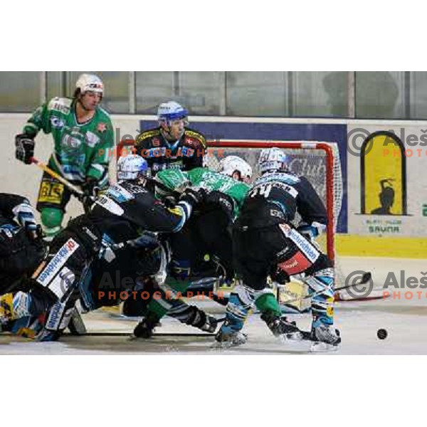 Corupe at match ZM Olimpija- EHC Liwest Linz in Ebel league,played in Ljubljana (Slovenia) 23.11.2007. Linz won the game 4:3. Photo by Ales Fevzer 