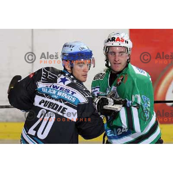 at match ZM Olimpija- Linz in Ebel league,played in Ljubljana (Slovenia) 23.11.2007. Photo by Ales Fevzer 