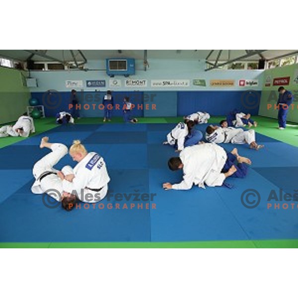 practice session at Judo club Z\'dezele Sankaku in Lopata near Celje, Slovenia on July 21, 2017