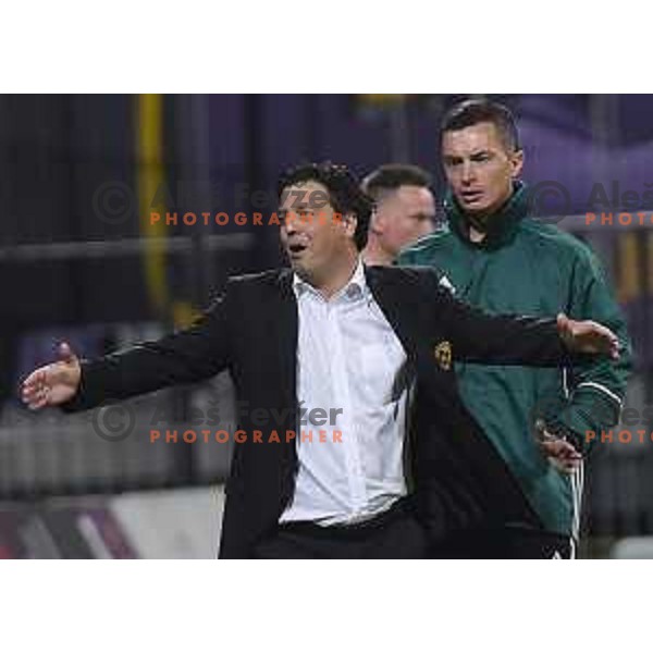 Zlatko Zahovic during football match between Maribor and Hafnarfjordur in third round of UEFA Champions League 2017/18 qualifyer in Ljudski vrt, Maribor, Slovenia on July 26, 2017
