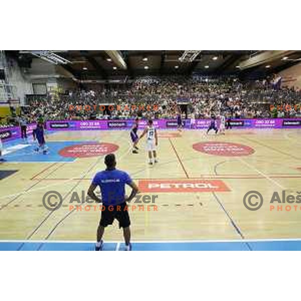 Igor Kokoskov, head coach of Slovenia in action during friendly basketball match between Slovenia and Russia University team played in Rogaska Slatina, Slovenia on July 30, 2017