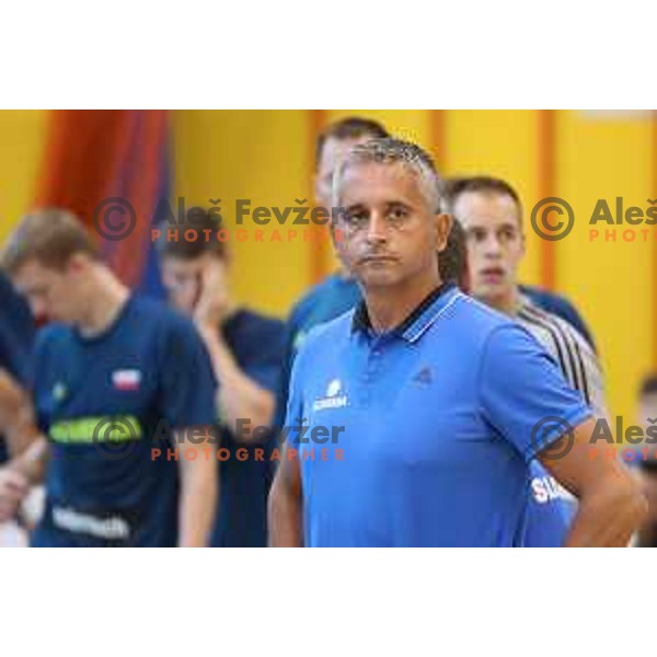 Igor Kokoskov, head coach of Slovenia in action during friendly basketball match between Slovenia and Russia University team played in Rogaska Slatina, Slovenia on July 30, 2017