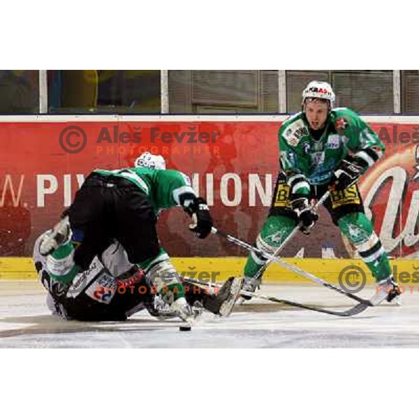 Corupe (51) at match ZM Olimpija-Graz 99ers in Ebel league,played in Ljubljana (Slovenia) 27.11.2007. Photo by Ales Fevzer 