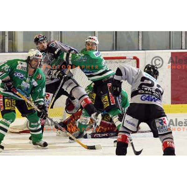 Yarema, Jan, Mitchell at match ZM Olimpija-Graz 99ers in Ebel league,played in Ljubljana (Slovenia) 27.11.2007. Photo by Ales Fevzer 