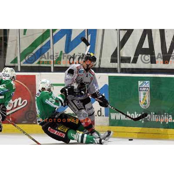 Pavlin at match ZM Olimpija-Graz 99ers in Ebel league,played in Ljubljana (Slovenia) 27.11.2007. Photo by Ales Fevzer 