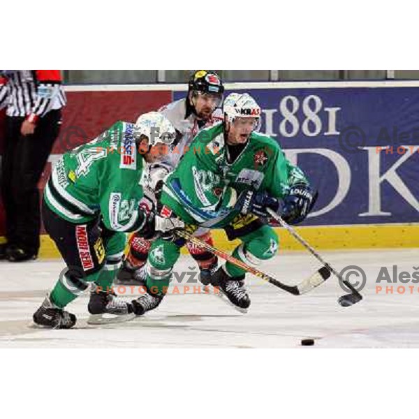 Vnuk at match ZM Olimpija-Graz 99ers in Ebel league,played in Ljubljana (Slovenia) 27.11.2007. Photo by Ales Fevzer 