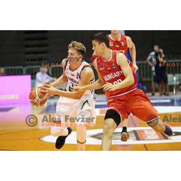 Luka Doncic of Slovenia in action during Adecco Cup basketball match between Slovenia and Hungary in Tabor Hall, Maribor, Slovenia on August 4, 2017