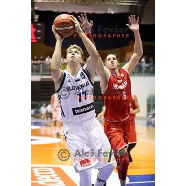 Luka Doncic of Slovenia in action during Adecco Cup basketball match between Slovenia and Hungary in Tabor Hall, Maribor, Slovenia on August 4, 2017