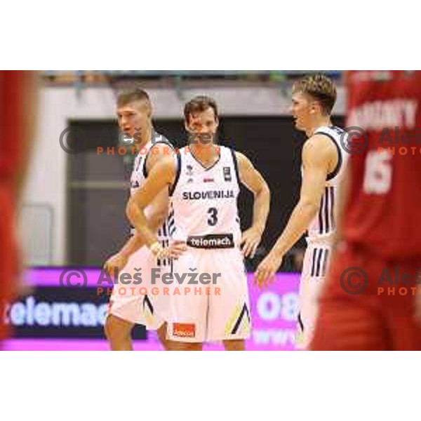 Goran Dragic, Edo Muric and Luka Doncic of Slovenia in action during Adecco Cup basketball match between Slovenia and Hungary in Tabor Hall, Maribor, Slovenia on August 4, 2017