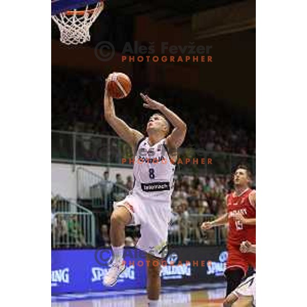 Edo Muric of Slovenia in action during Adecco Cup basketball match between Slovenia and Hungary in Tabor Hall, Maribor, Slovenia on August 4, 2017