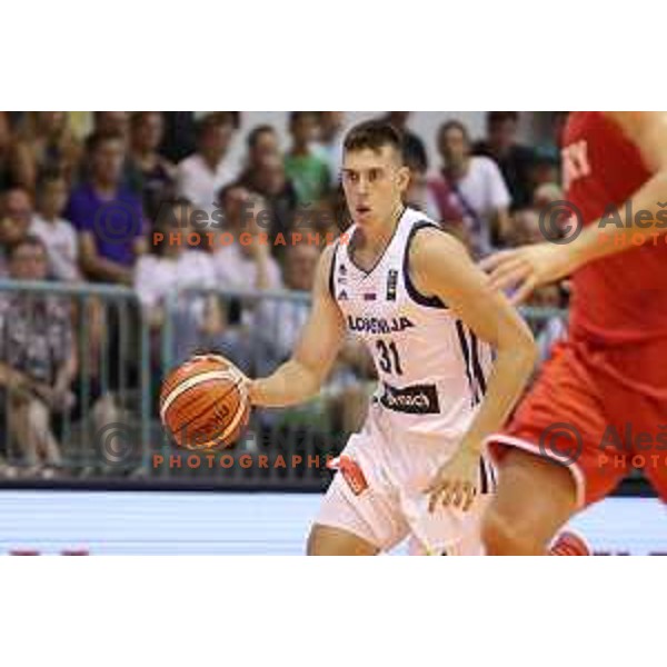 Vlatko Cancar of Slovenia in action during Adecco Cup basketball match between Slovenia and Hungary in Tabor Hall, Maribor, Slovenia on August 4, 2017