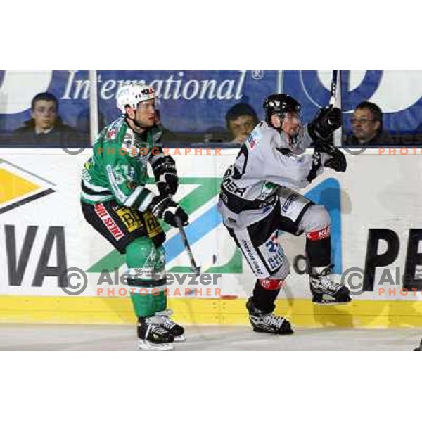 Corupe at match ZM Olimpija-Graz 99ers in Ebel league,played in Ljubljana (Slovenia) 27.11.2007. Photo by Ales Fevzer 