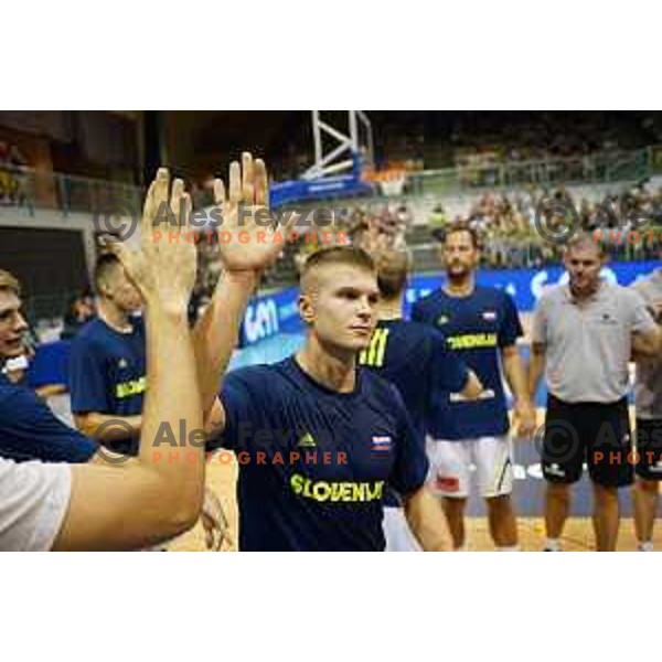Edo Muric of Slovenia in action during Adecco Cup basketball match between Slovenia and Hungary in Tabor Hall, Maribor, Slovenia on August 4, 2017
