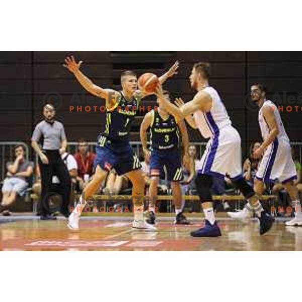 Edo Muric of Slovenia in action during Adecco Cup basketball match between Slovenia and Czech Republic in Tabor Hall, Maribor, Slovenia on August 6, 2017
