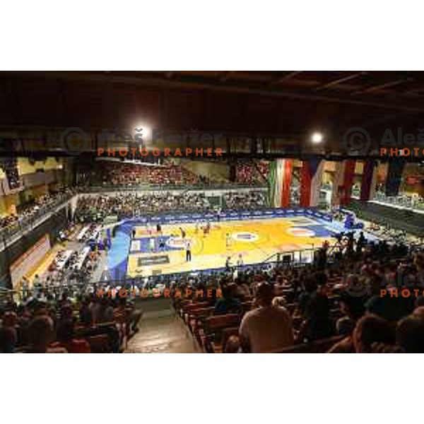 Fans of Slovenia in action during Adecco Cup basketball match between Slovenia and Czech Republic in Tabor Hall, Maribor, Slovenia on August 6, 2017