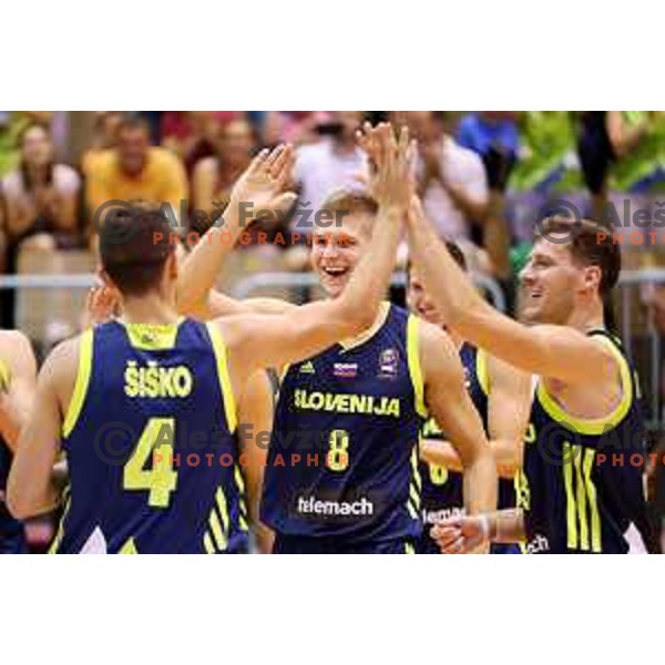 of Slovenia in action during Adecco Cup basketball match between Slovenia and Czech Republic in Tabor Hall, Maribor, Slovenia on August 6, 2017
