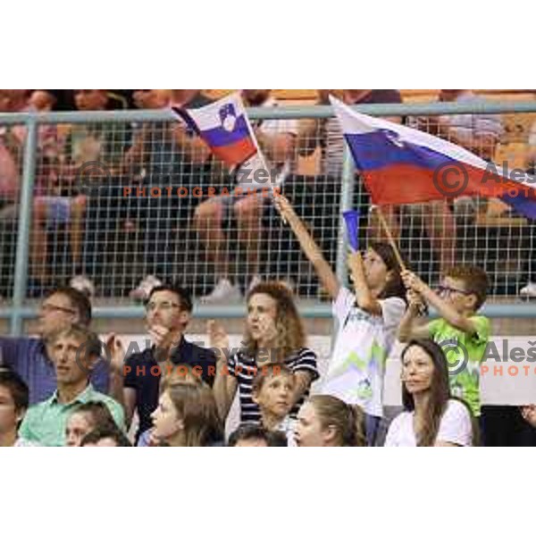 Fans of Slovenia in action during Adecco Cup basketball match between Slovenia and Czech Republic in Tabor Hall, Maribor, Slovenia on August 6, 2017