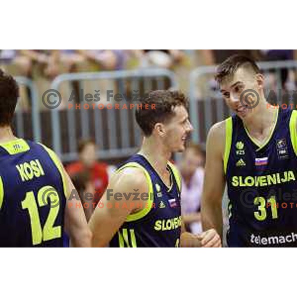 Goran Dragic and Vlatko Cancar of Slovenia in action during Adecco Cup basketball match between Slovenia and Czech Republic in Tabor Hall, Maribor, Slovenia on August 6, 2017