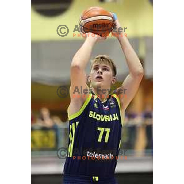 Luka Doncic of Slovenia in action during Adecco Cup basketball match between Slovenia and Czech Republic in Tabor Hall, Maribor, Slovenia on August 6, 2017