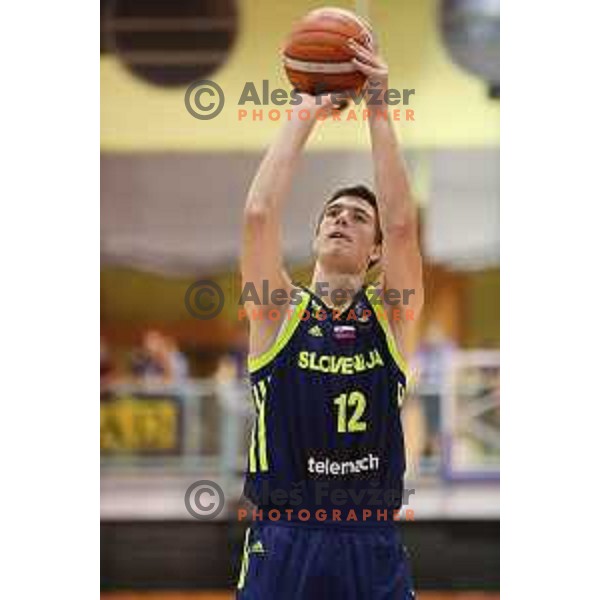 Jan Kosi of Slovenia in action during Adecco Cup basketball match between Slovenia and Czech Republic in Tabor Hall, Maribor, Slovenia on August 6, 2017