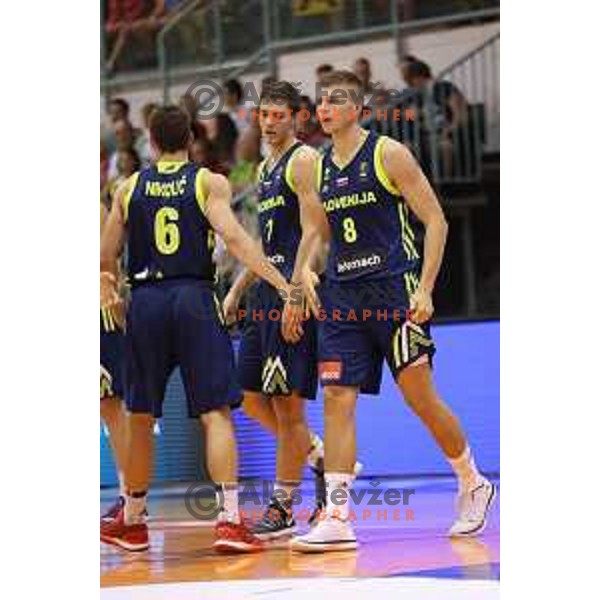 Edo Muric of Slovenia in action during Adecco Cup basketball match between Slovenia and Czech Republic in Tabor Hall, Maribor, Slovenia on August 6, 2017